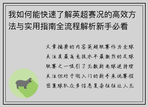我如何能快速了解英超赛况的高效方法与实用指南全流程解析新手必看